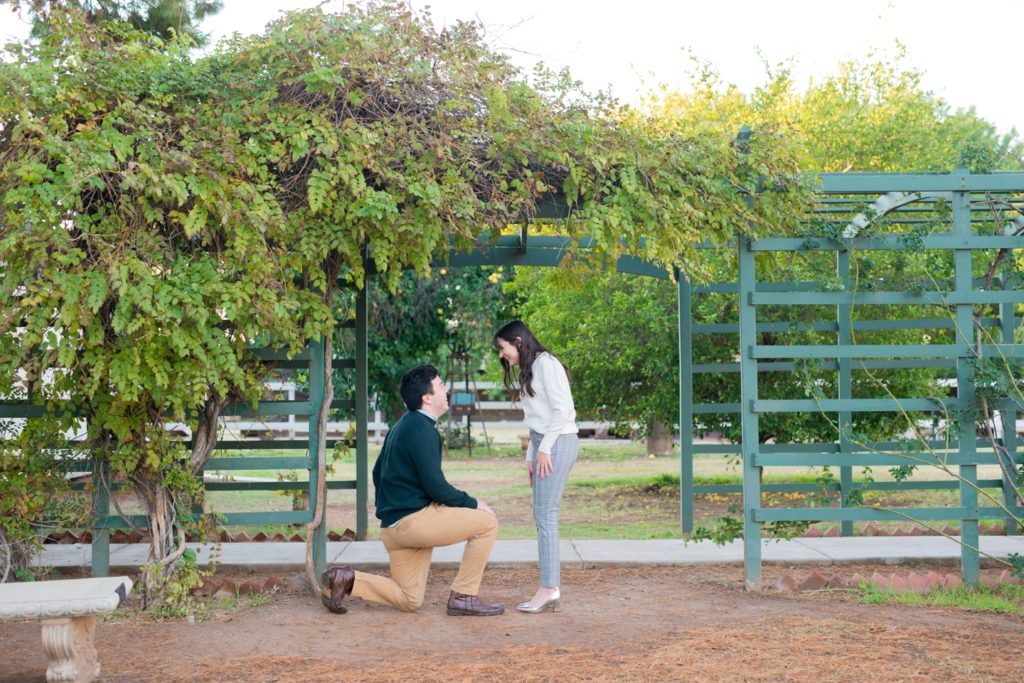 Down on one knee for a beautiful proposal photo