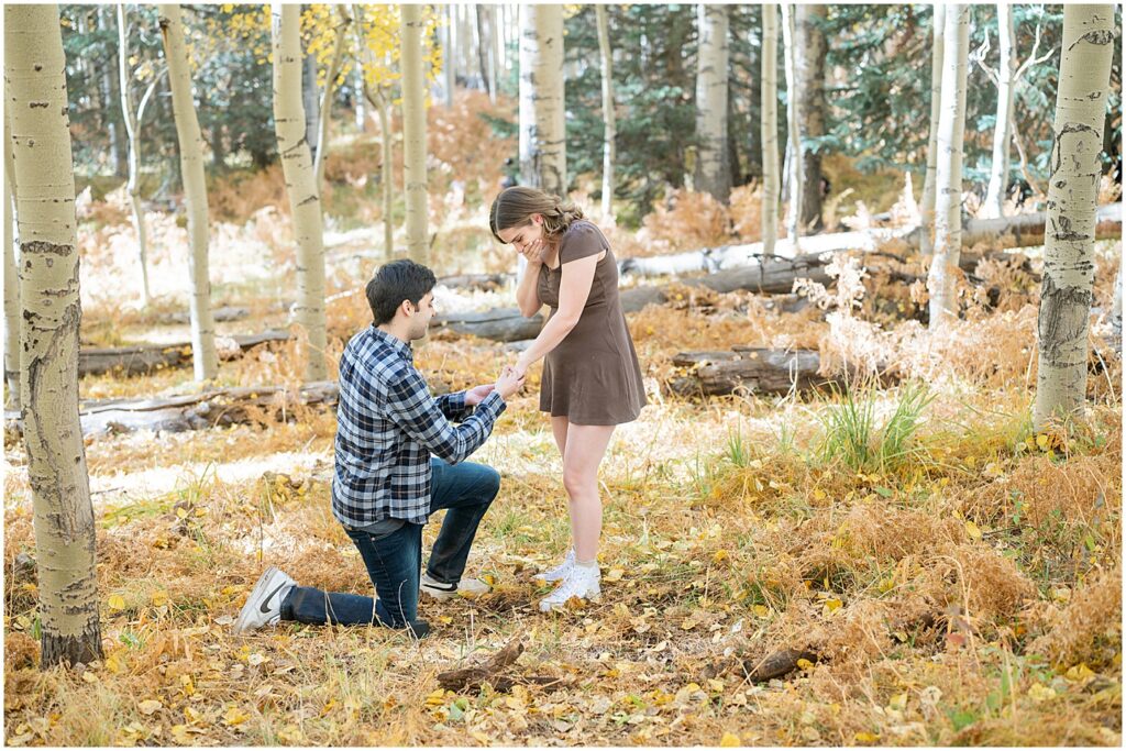 Flagstaff proposal with yellow leaves
