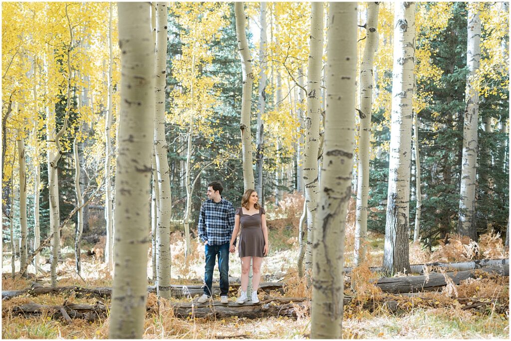 engagement photos in Flagstaff with yellow leaves