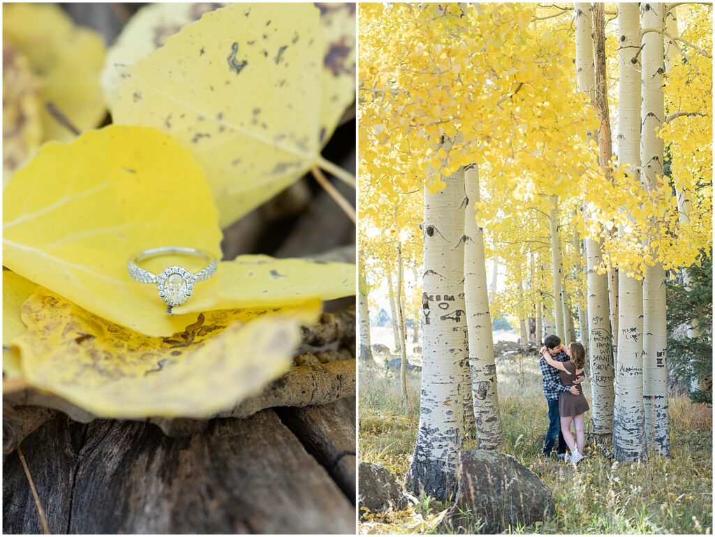 engagement photos in Flagstaff with yellow leaves
